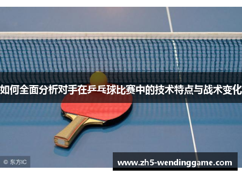 如何全面分析对手在乒乓球比赛中的技术特点与战术变化