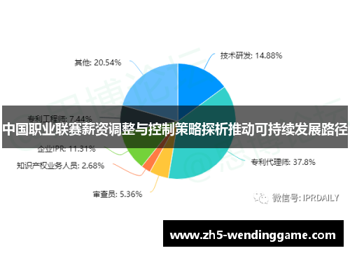 中国职业联赛薪资调整与控制策略探析推动可持续发展路径