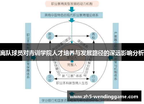 离队球员对青训学院人才培养与发展路径的深远影响分析