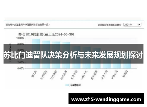苏比门迪留队决策分析与未来发展规划探讨