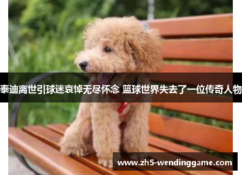 泰迪离世引球迷哀悼无尽怀念 篮球世界失去了一位传奇人物