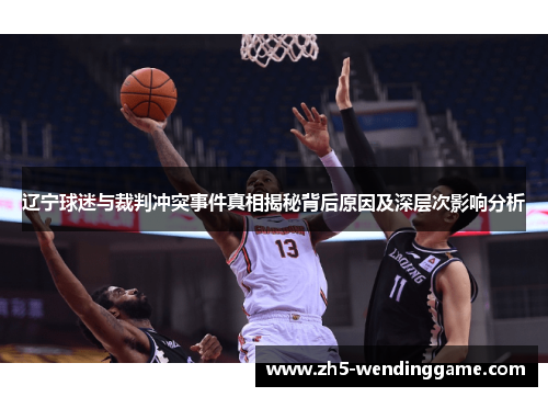 辽宁球迷与裁判冲突事件真相揭秘背后原因及深层次影响分析