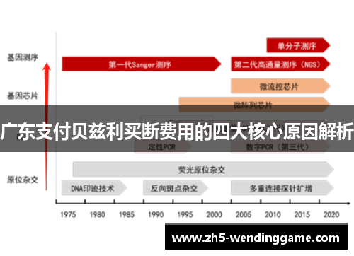 广东支付贝兹利买断费用的四大核心原因解析