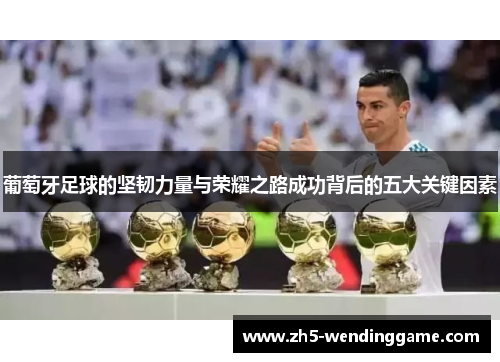 葡萄牙足球的坚韧力量与荣耀之路成功背后的五大关键因素