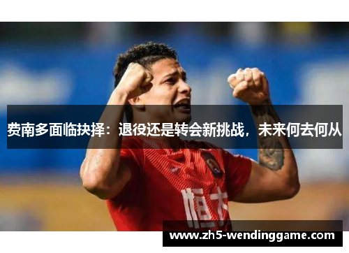 费南多面临抉择:退役还是转会新挑战,未来何去何从 费南多面临抉择:退役还是转会新挑战,未来何去何从