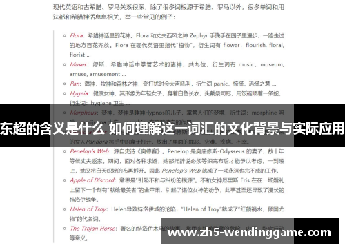 东超的含义是什么 如何理解这一词汇的文化背景与实际应用 东超的含义是什么 如何理解这一词汇的文化背景与实际应用