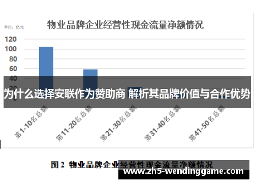 为什么选择安联作为赞助商 解析其品牌价值与合作优势