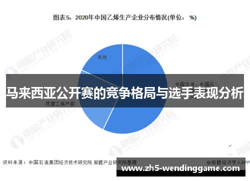 马来西亚公开赛的竞争格局与选手表现分析 马来西亚公开赛的竞争格局与选手表现分析