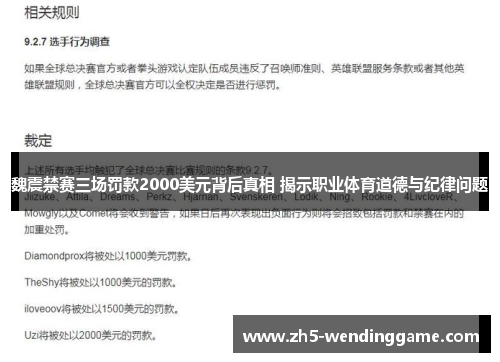 魏震禁赛三场罚款2000美元背后真相 揭示职业体育道德与纪律问题