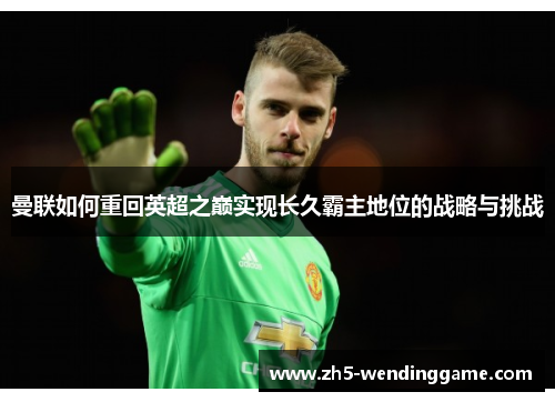 曼联如何重回英超之巅实现长久霸主地位的战略与挑战