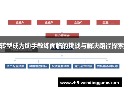 转型成为助手教练面临的挑战与解决路径探索